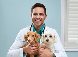Itgen shares How to check your pet’s health and prevent common diseases？