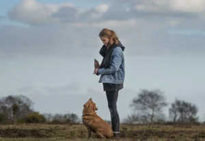 Canine Leishmania Antibody Rapid Test