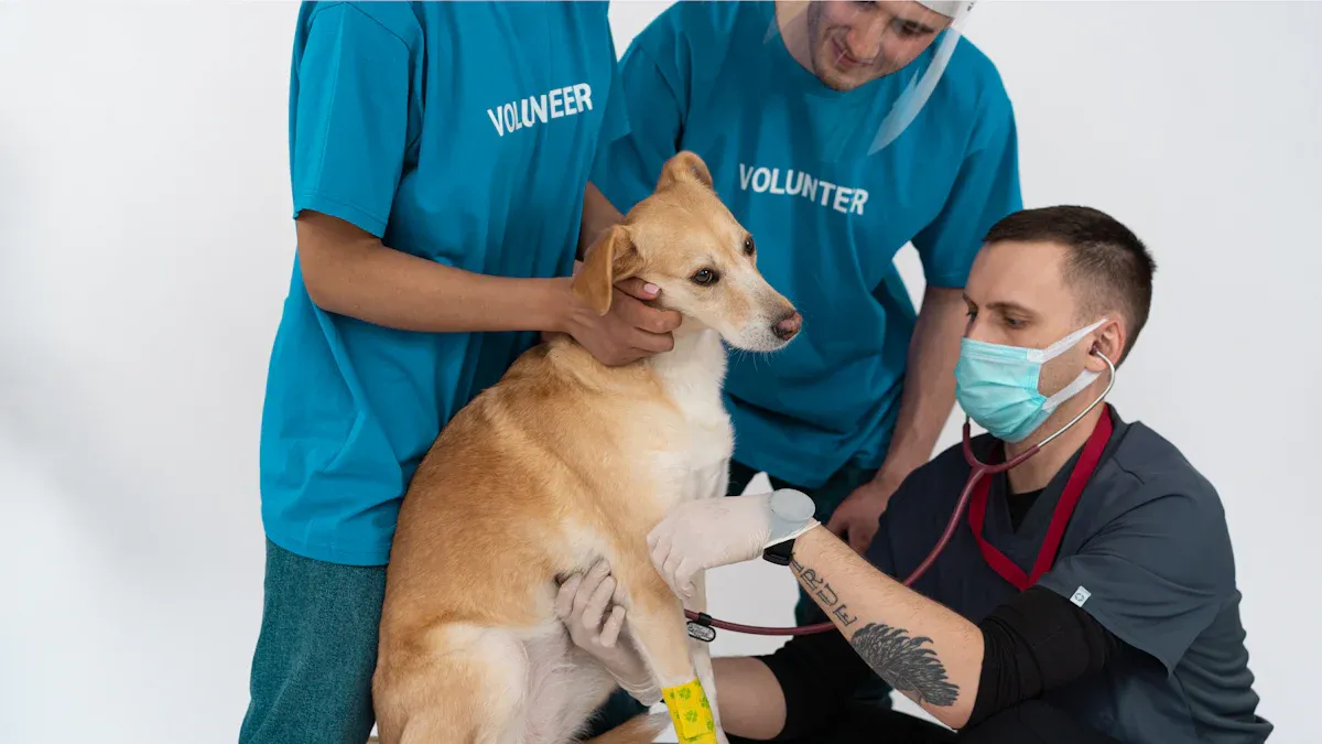 Is there a test for canine influenza?