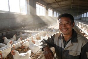 Can hummingbird feeders spread avian disease?