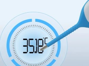 Veterinary Electronic Thermometer