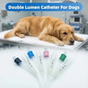 Canine 2-Way Foley Catheter 3