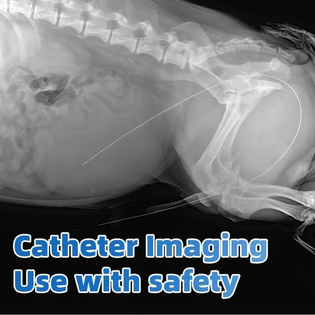 ITGen Canine Dual-Lumen Foley Catheter
