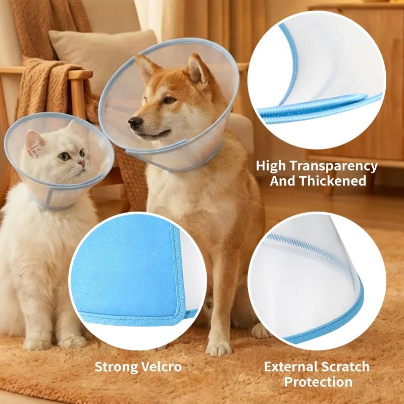 ITGen Premium Elizabeth Collar