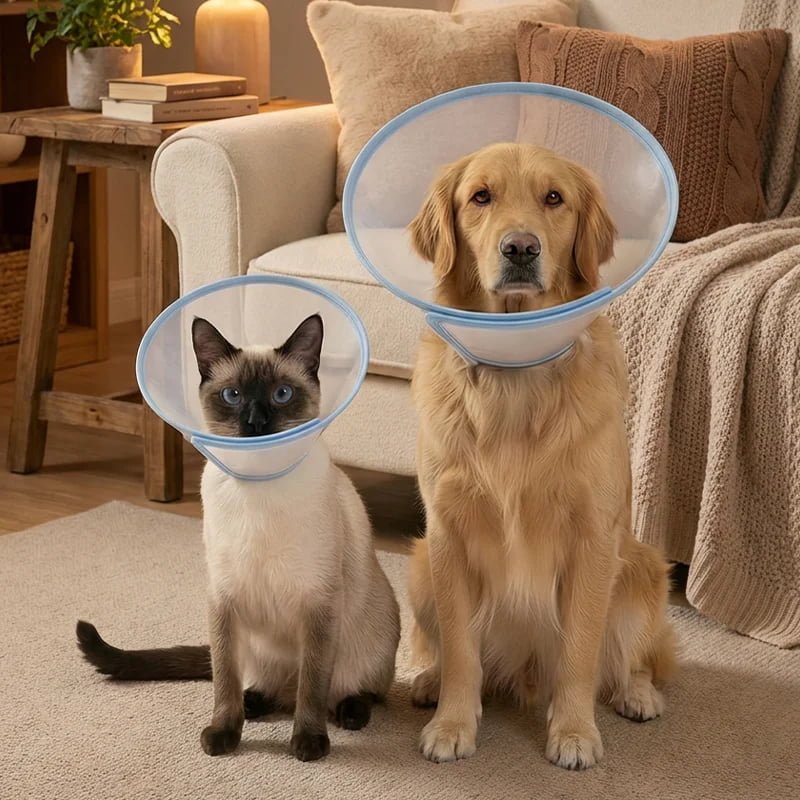 ITGen Premium Elizabeth Collar