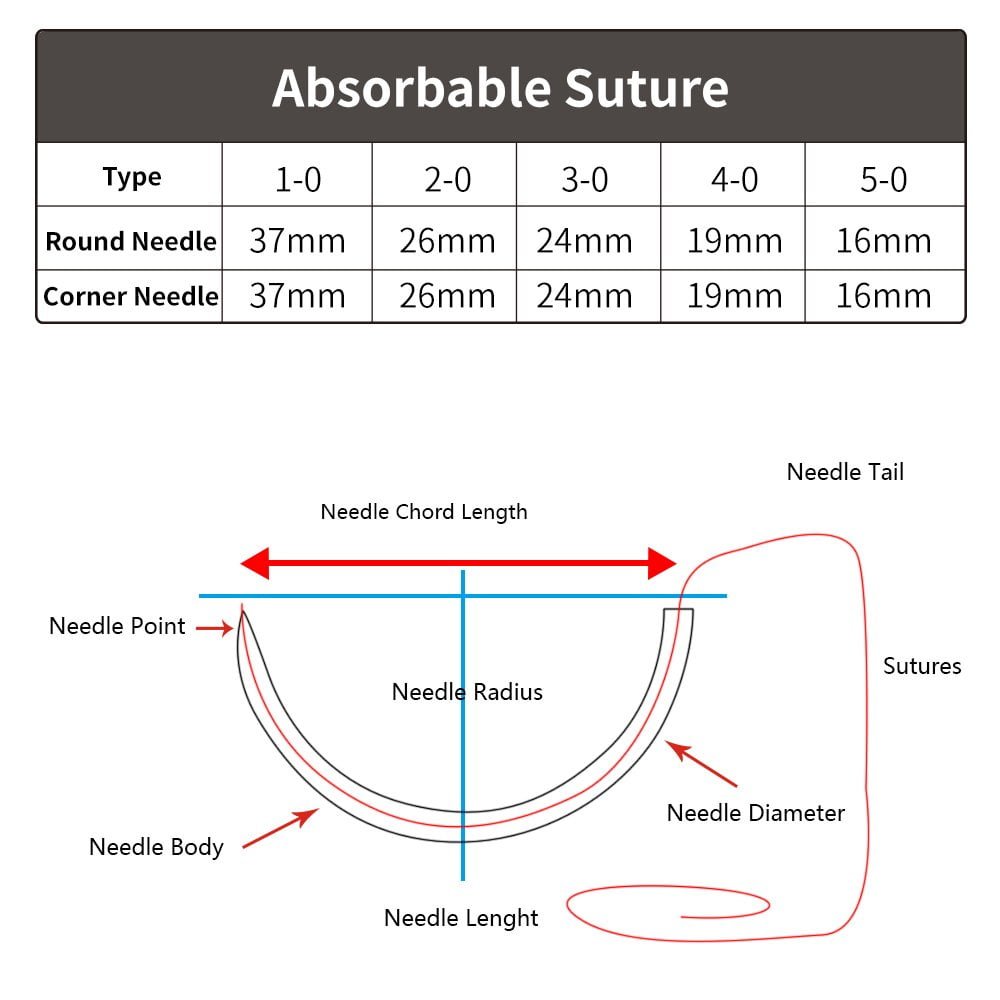ITGen PDO (Polydioxanone) Absorbable Sutures