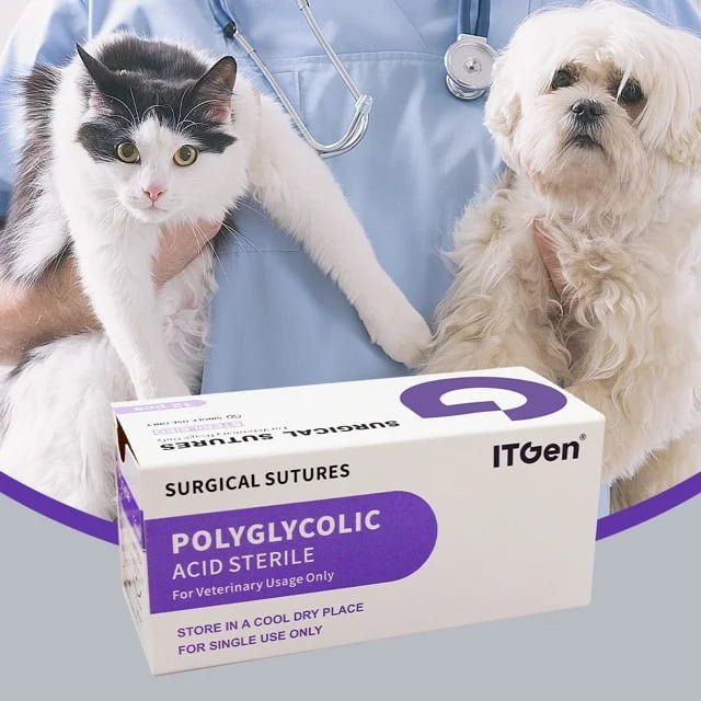 ITGen PGA (Polyglycolic Acid) Absorbable Sutures