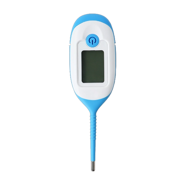 Electronic Thermometer