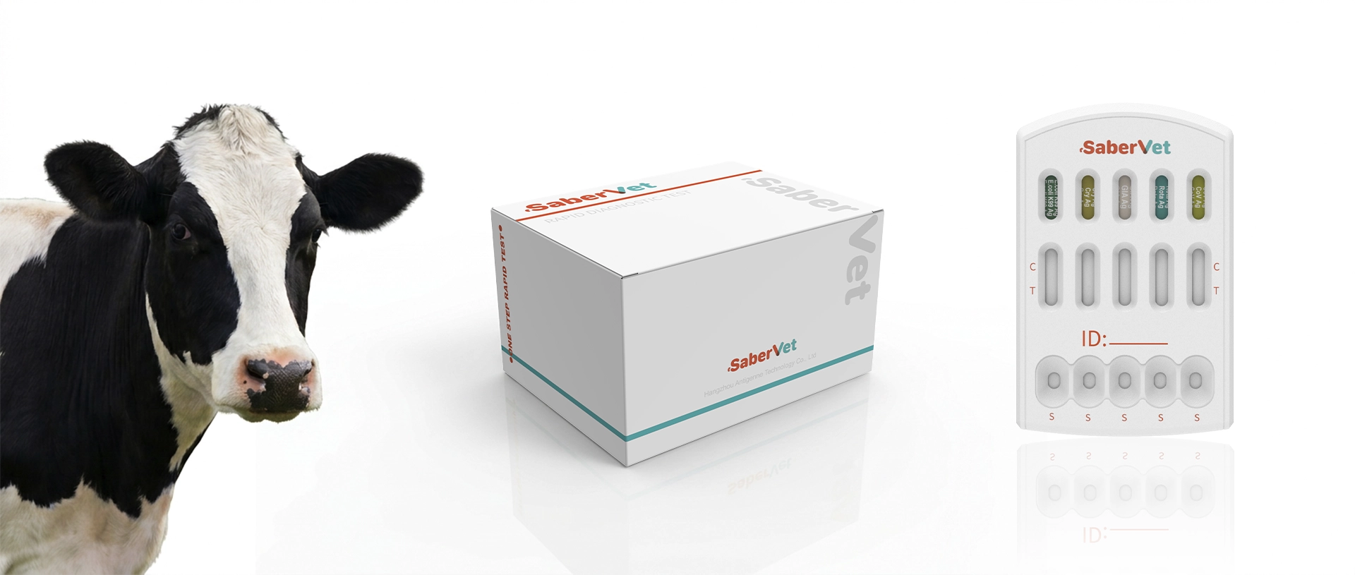 Bovine Testing Laboratory